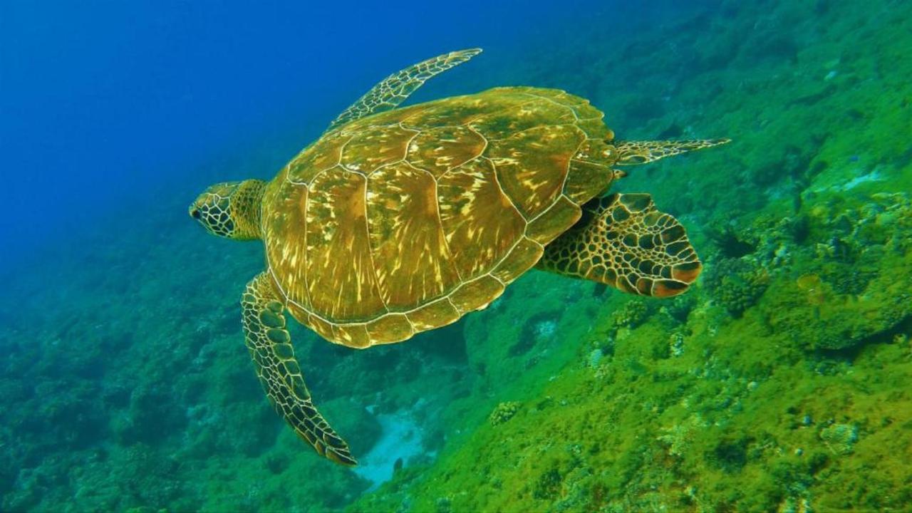 שייאו ליוקיו Ocean B&B מראה חיצוני תמונה
